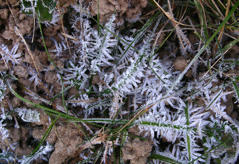 ORA...... arrivato l''inverno.....